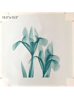 Botanical Art Lithograph Canvas Print